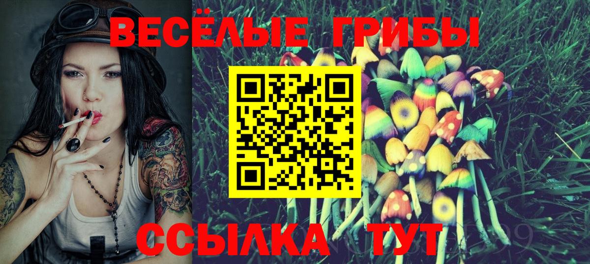 Шадринск  Галлюциногенные грибы GOLDEN TEACHER  где купить наркоту  Вход с VPN 