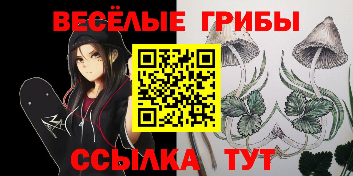 Псилоцибиновые грибы Magic Shrooms Шадринск